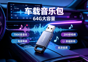 车载音乐包，共64G，7000首音乐和200部视频-专注音乐模板设计8年唐宝音乐模板