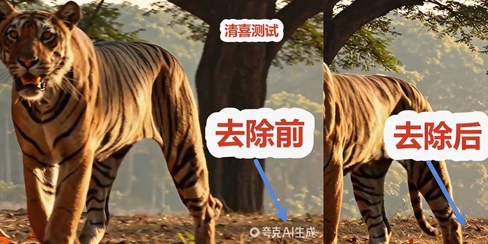 图片[2]-专注音乐模板设计8年这款千问视频 / 图片去水印神器，一键搞定烦人水印，本地完全免费，浏览器拓展插件-专注音乐模板设计8年唐宝音乐模板