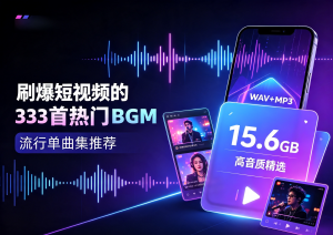 盘点近些年刷爆各大短视频的333首热门BGM流行单曲集推荐[WAV+MP3+15.6GB]-专注音乐模板设计8年唐宝音乐模板