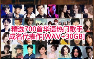 精选700首华语乐坛经典流行热门歌手成名代表作-专注音乐模板设计8年唐宝音乐模板